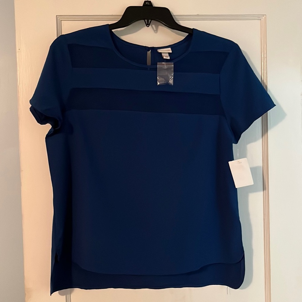 Blue Shortsleeved Tee Sheer Front Panels